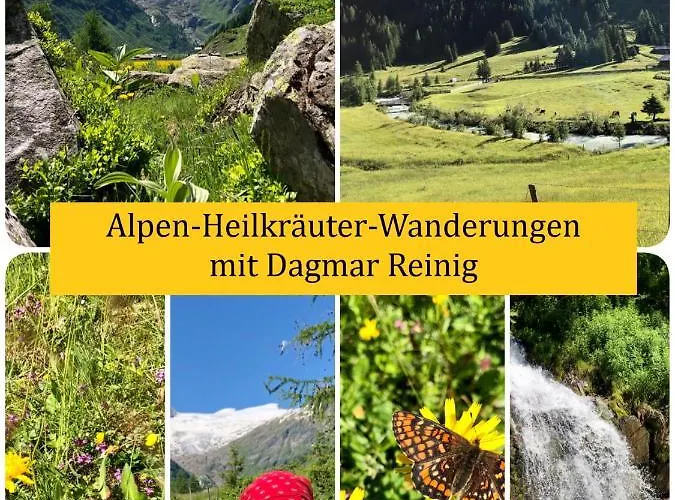 Haus Alpenlicht Apartamento *