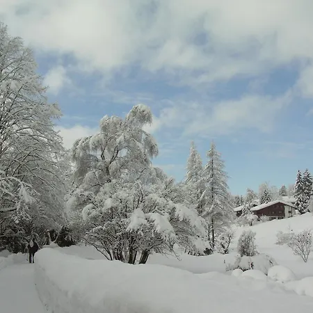 Апартаменты Haus Alpenlicht *
